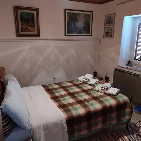 δυάρι ισόγειο παραδοσιακής οικίας με μεγάλο κήπο Apartment