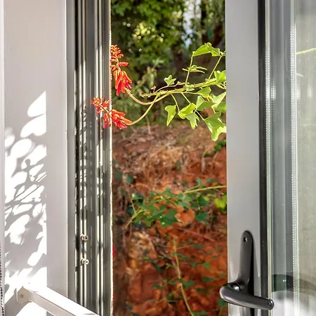 Apartment Cozy Garden Flat *